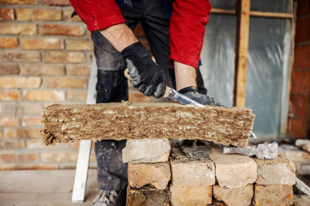 Best Professional Insulation Contractor  in Snyder, TX