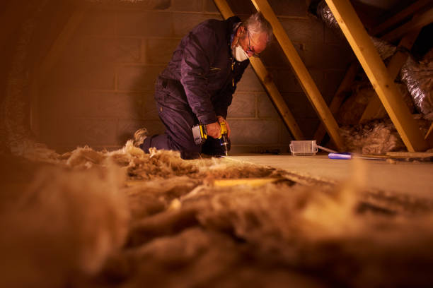 Best Insulation Contractor Near Me  in Snyder, TX