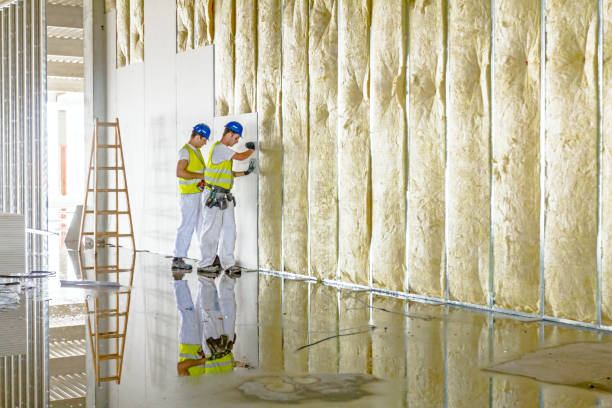 Best Soundproof Insulation Installation  in Snyder, TX